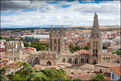 Ville du nord de l'Espagne, situ&eacute;e sur un plateau &agrave; pr&egrave;s de 900 m&egrave;tres d'altitude, berceau de la Vieille-Castille :