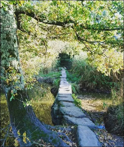 Situé à Guérande, ce pont gallo-romain porte donc un nom qui de manque pas de sel : lequel ?