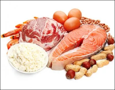 Combien de fois dans la journée doit-on manger des aliments protéiques ? (type viande, poisson...)