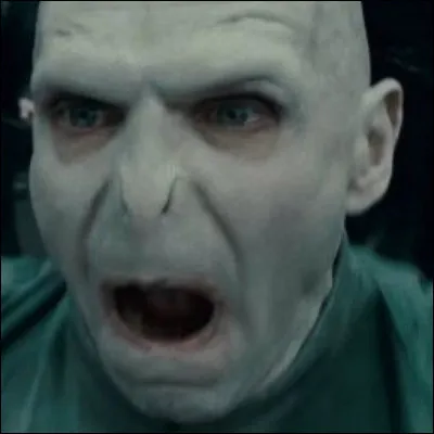 Quel est ton plus grand défaut ?