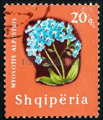 Quel pays s'appelle Shqip&euml;ria dans sa langue ?