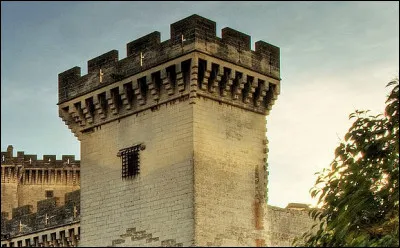 Le bloc de schiste fissile, aisément transportable est appelé...