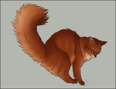 Comment s'appelle la sur de Poil d'Écureuil ?