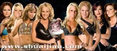 Combien y a t-il de ceinture(s) chez les Divas ?