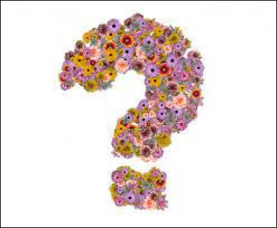 Bas comme baston : qui est l'interprète de la chanson "Baston" ?