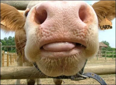 Tirer ______ par _____.