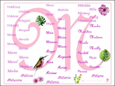 Quel prénom trouves-tu le plus joli ?