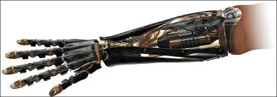 A qui appartient ce bras ?