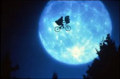 À qui appartient le vélo sur cette image ?