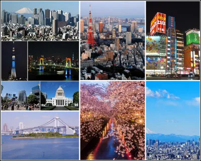 [TOP 8]  Nous partons pour l'Asie orientale afin de visiter une ville célèbre. Elle et son agglomération comptent plus de 40 000 000 millions de personnes. Elle est connue pour être illuminée par des enseignes néons à but lucratif puisque celles-ci passent en boucle des publicités. Ses immeubles extra-modernes côtoient les temples et structures traditionnelles. Je parle bien sûr de...