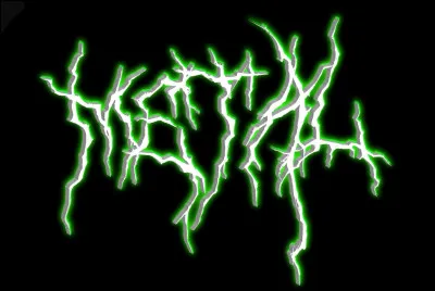 Quel style de métal écoutez-vous le plus ?