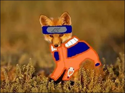 Ton animal préféré est :