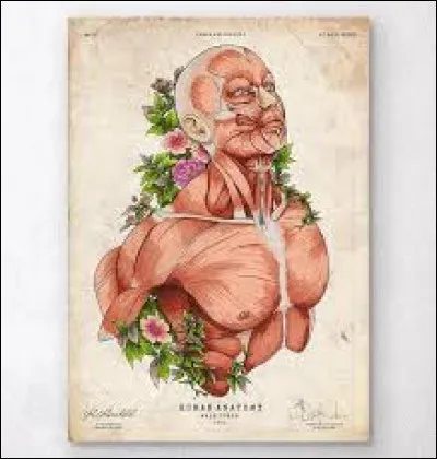 Parmi les termes descriptifs pour se repérer dans l'espace, on peut utiliser :