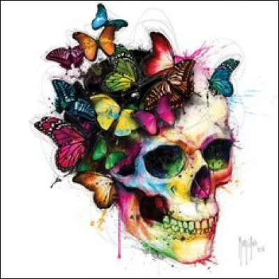 Un peu de vocabulaire anatomique à présent ! Parmi ces propositions, lesquelles sont correctes ?