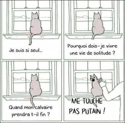 Mord-il ou griffe-t-il ?