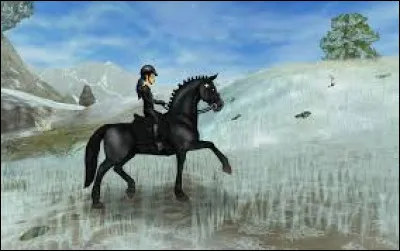 En quelle année le jeu a-t-il été créé ?