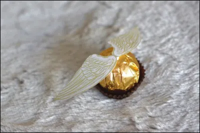 Quel poste n'est PAS impliqué dans la règle "Toucher ou saisir le vif d'or" ?