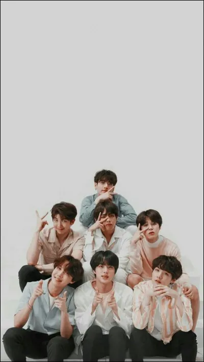 En quelle année, les BTS ont-ils commencé leur carrière ?