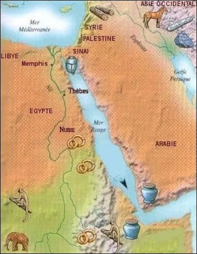 Dans quel pays la reine pharaon Hatchepsout envoya une expédition afin de récupérer des arbres à encens ?