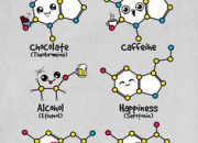 Quiz La chimie dans tous ses tats ! (1)