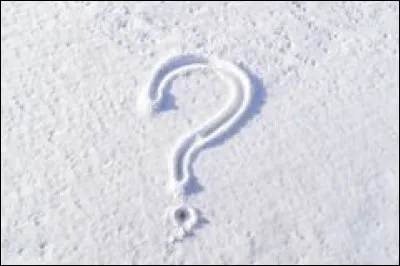 Caille comme Caillebotte : qui était-ce ?