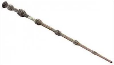 Qui est devenu maître de la baguette de sureau après Albus Dumbledore ?