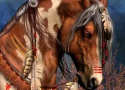 Quiz Connais-tu les chevaux ?