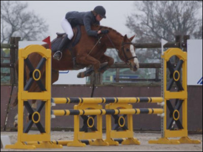 Combien de niveaux de galops existe dans l'&eacute;quitation ?