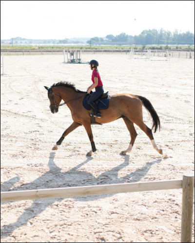 Le nombre de galops repose sur trois domaines de comp&eacute;tence d&eacute;finis en trois modules, lesquels sont-ils ?