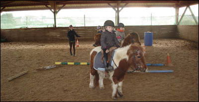 Qu'est-ce que le baby poney ?