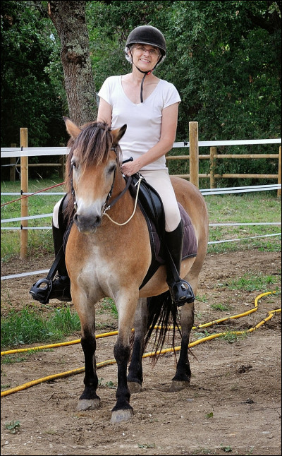 &Agrave; partir de quel &acirc;ge peut-on monter sur un grand poney ?