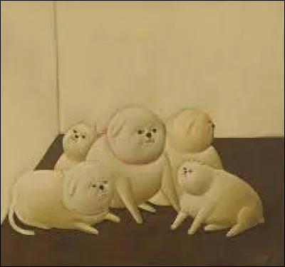 À qui sont ces chats ?