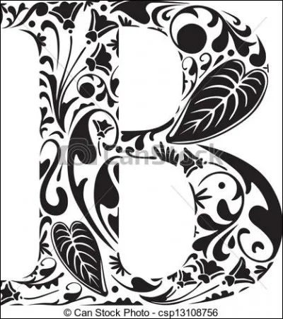 Dans quel domaine a-t-on originellement utilisé le terme de "bord" ?