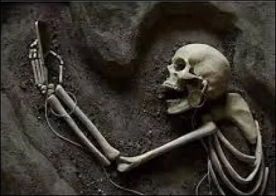 _____________________ tombe.