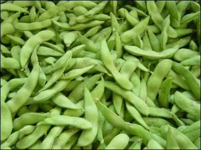 Dans quel(s) plat(s) exotique(s) et dlicieux trouve-t-on du haricot ?