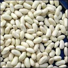 Quel est le nom du gros haricot blanc de Vende (et je ne fais pas de mauvais esprit ici) ?