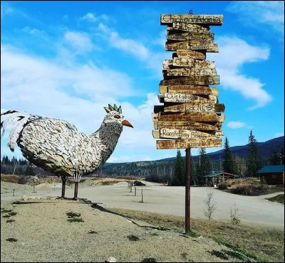 La ville de "Chicken" (Alaska) portait autrefois un autre nom, tout aussi consommable mais visiblement trop difficile à prononcer : lequel ?