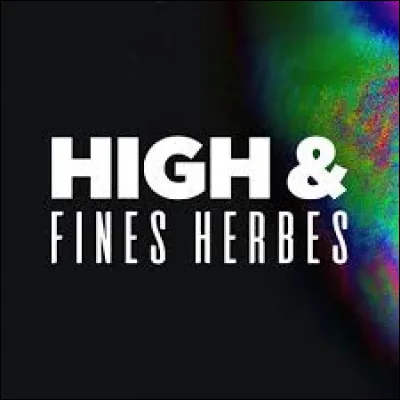 À quel duo complètement enfumé doit-on la création de la chaîne YouTube "High et Fines Herbes" ?