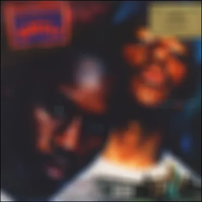 À quel duo iconique appartient cette "INFÂME" couverture d'album ?