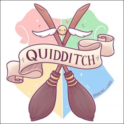 Quelle est la traduction de "The Golden Snitch" en français ?