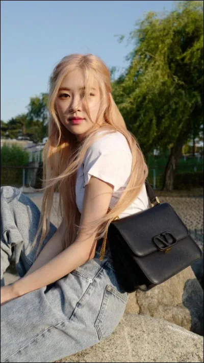 Quelle activité pratiquait-elle avant d'être chanteuse ?