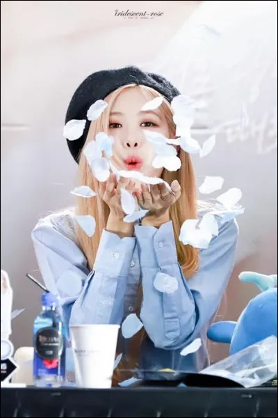 Quels sont les 2 hobbies préférés de Rosé ?