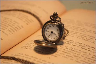 Depuis combien de temps écris-tu ?