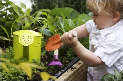 ______________ coup ______________.