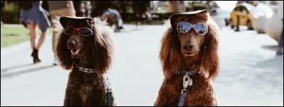 ______________ fortune ______________.