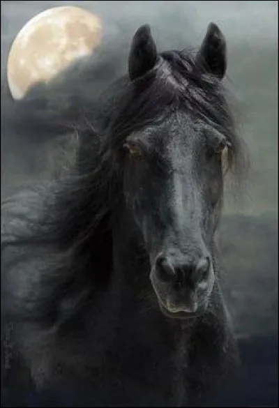 Cheval divin de la mythologie grecque, immortel et doué de la parole. Qui est-il ?