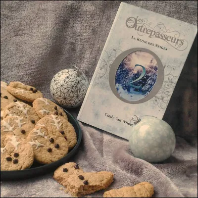 Qui est Snezhkaïa ? (tome 2)