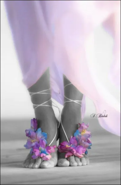 J'ai un petit pied-à-terre sur la côte méditerranéenne, c'est un rez-de jardin, il est...