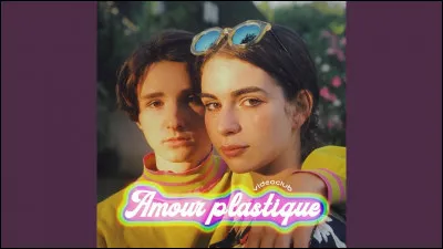 Qui chantait "Tu veux ou tu veux pas" ?