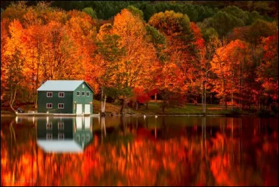Quel genre littéraire les éditions Octobre publient-elles ?